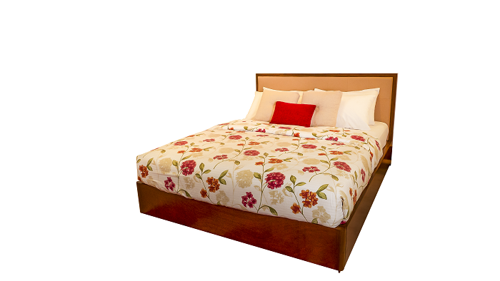 BED 325.19 — alternate view