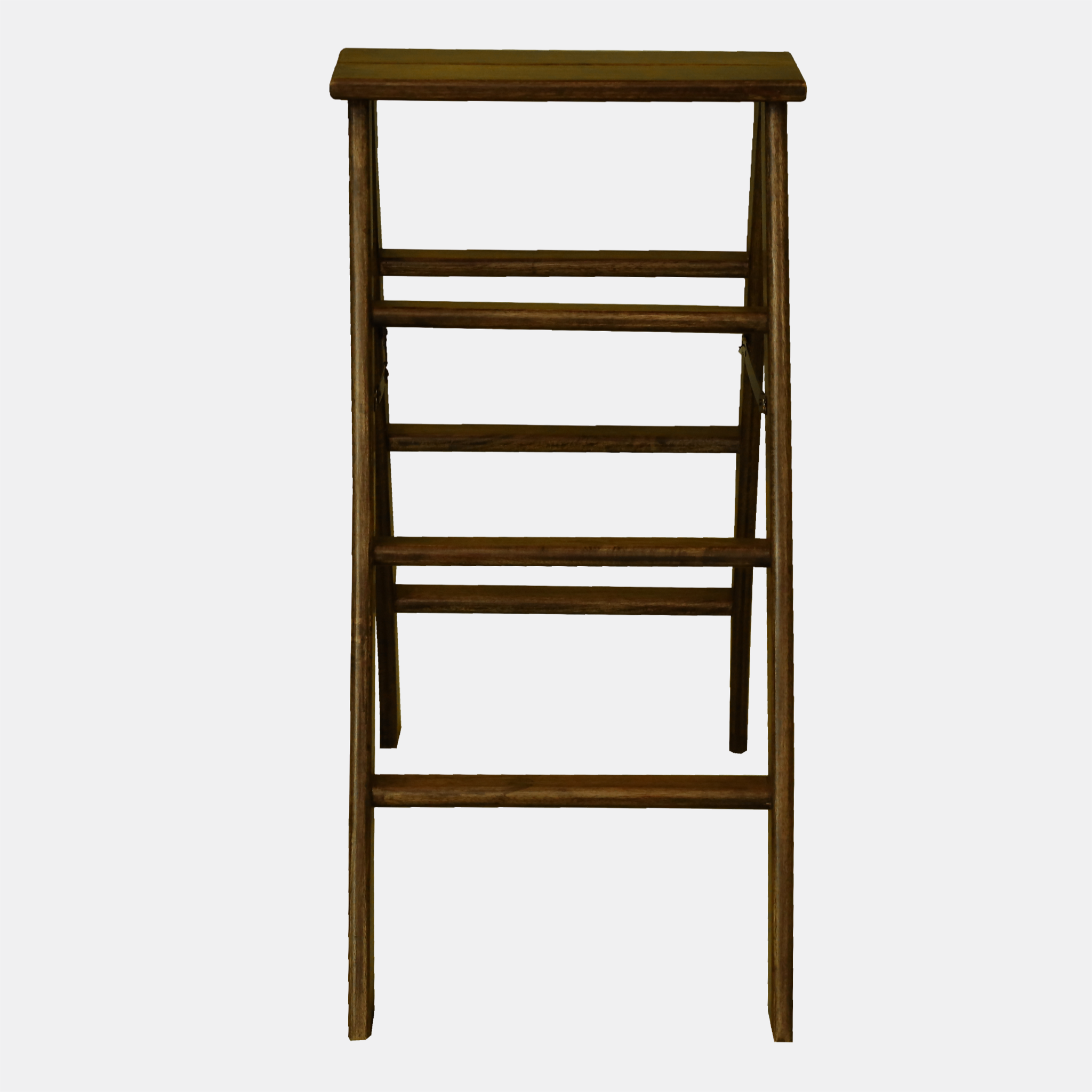 LADDER (SMALL)